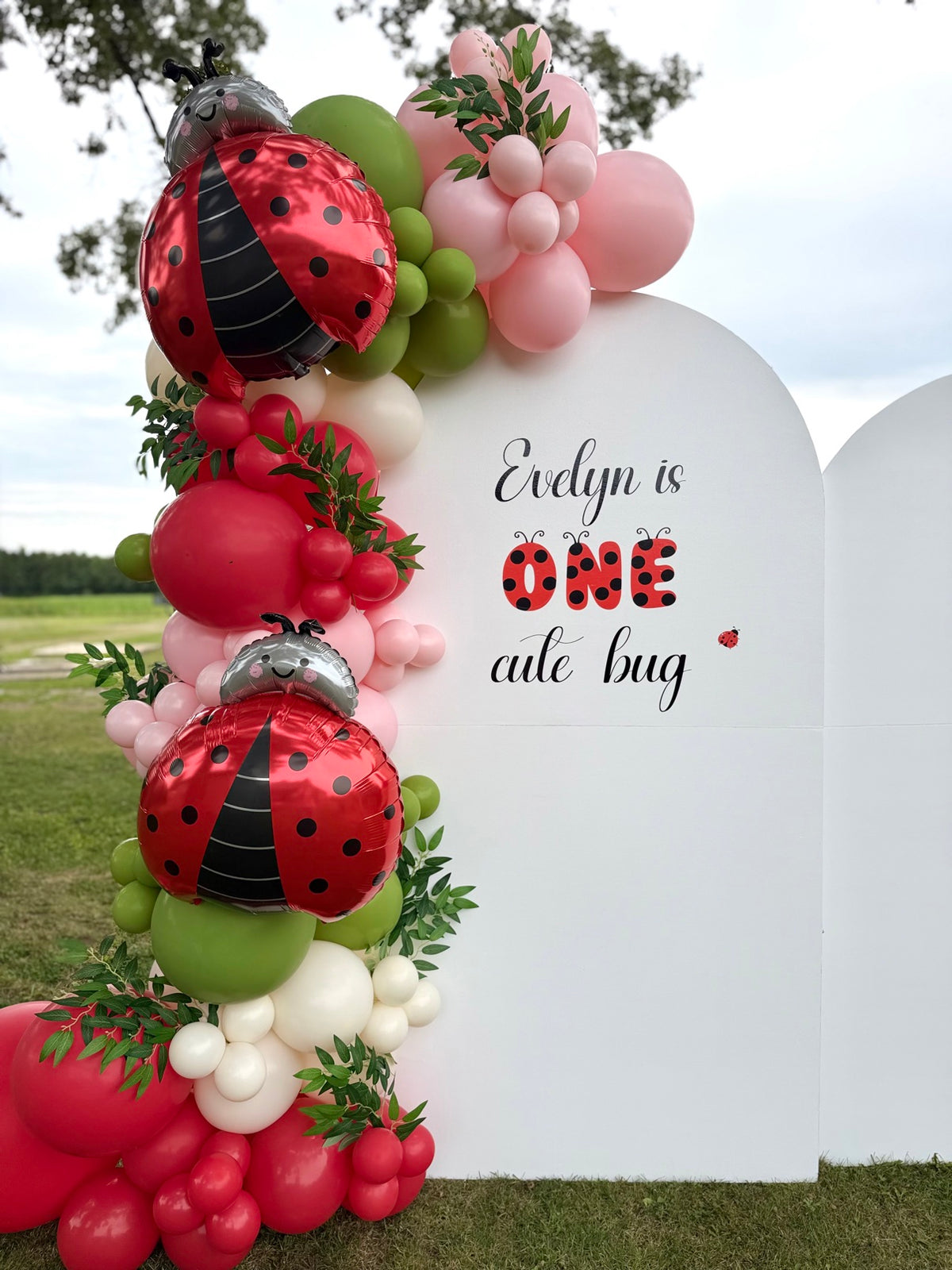 Ladybug Balloon Backdrop