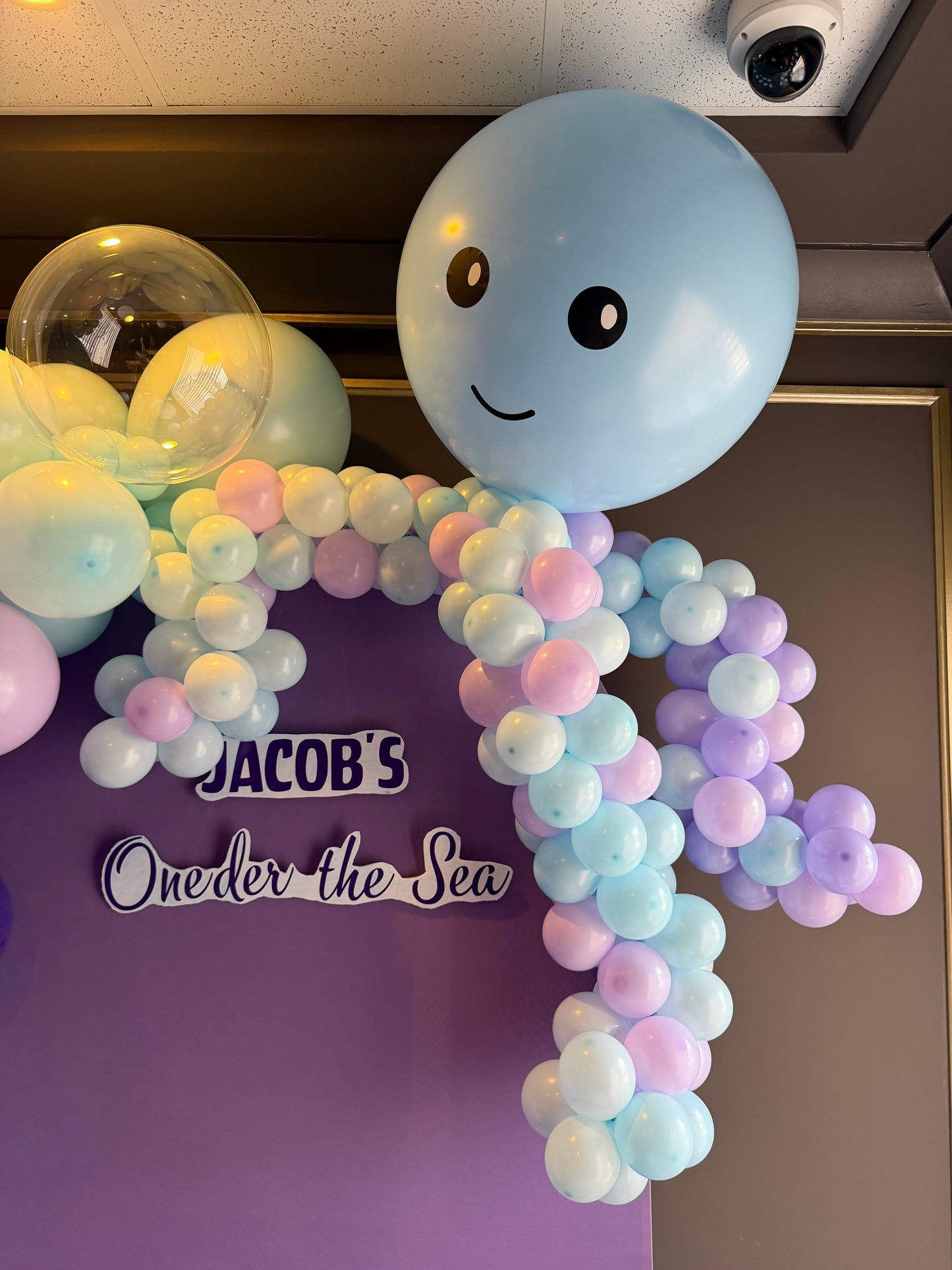 Under the Sea Birthday Balloon Backdrop – Ocean / Octopus Theme