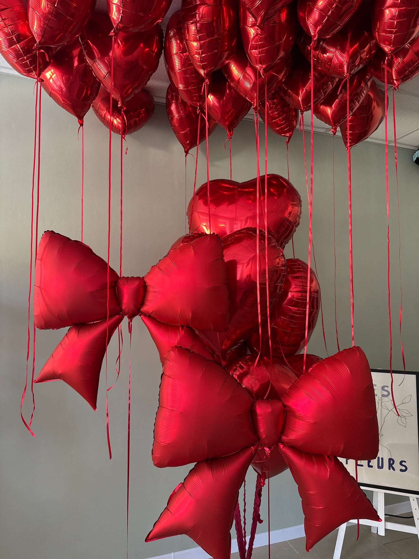 Red Love Balloon Set/ Red hearts Ottawa