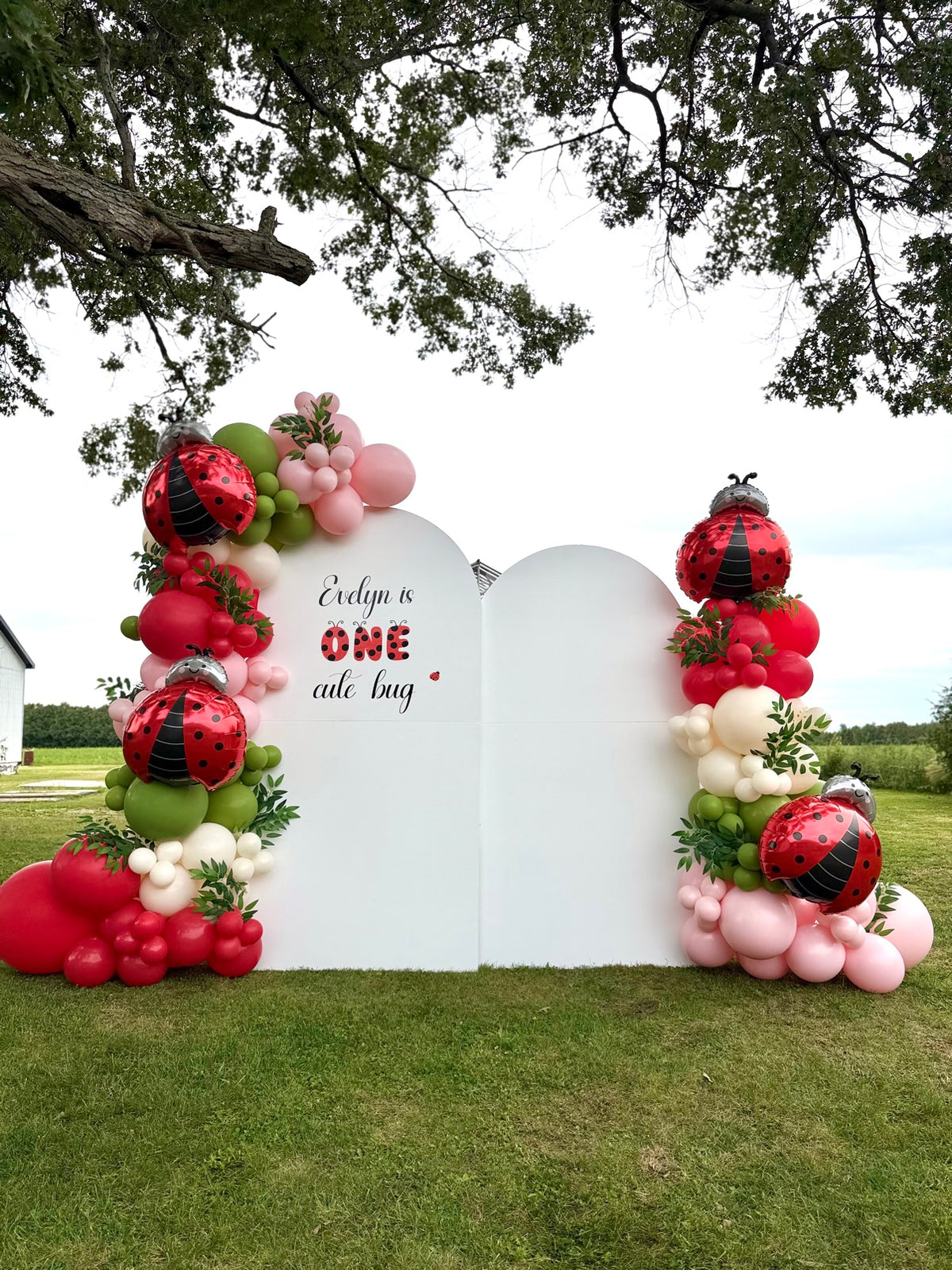Ladybug Balloon Backdrop