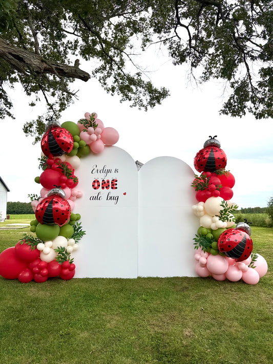 Ladybug Balloon Backdrop