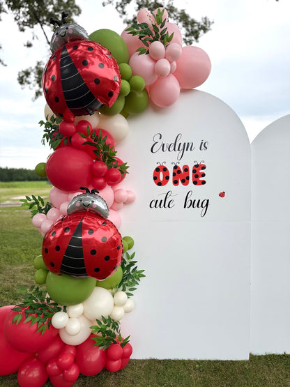 Ladybug Balloon Backdrop