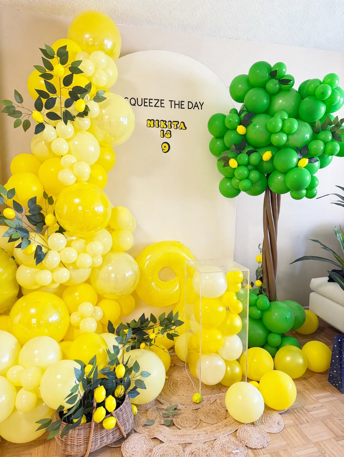 lemon birthday backdrop Ottawa