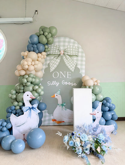 one silly goose birthday backdrop Ottawa